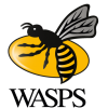 Wasps Wasps