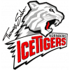 Nurnberg Ice Tigers Nurnberg Ice Tigers