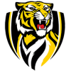 Richmond Tigers Richmond Tigers