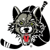Chicago Wolves Chicago Wolves
