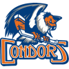 Bakersfield Condors Bakersfield Condors